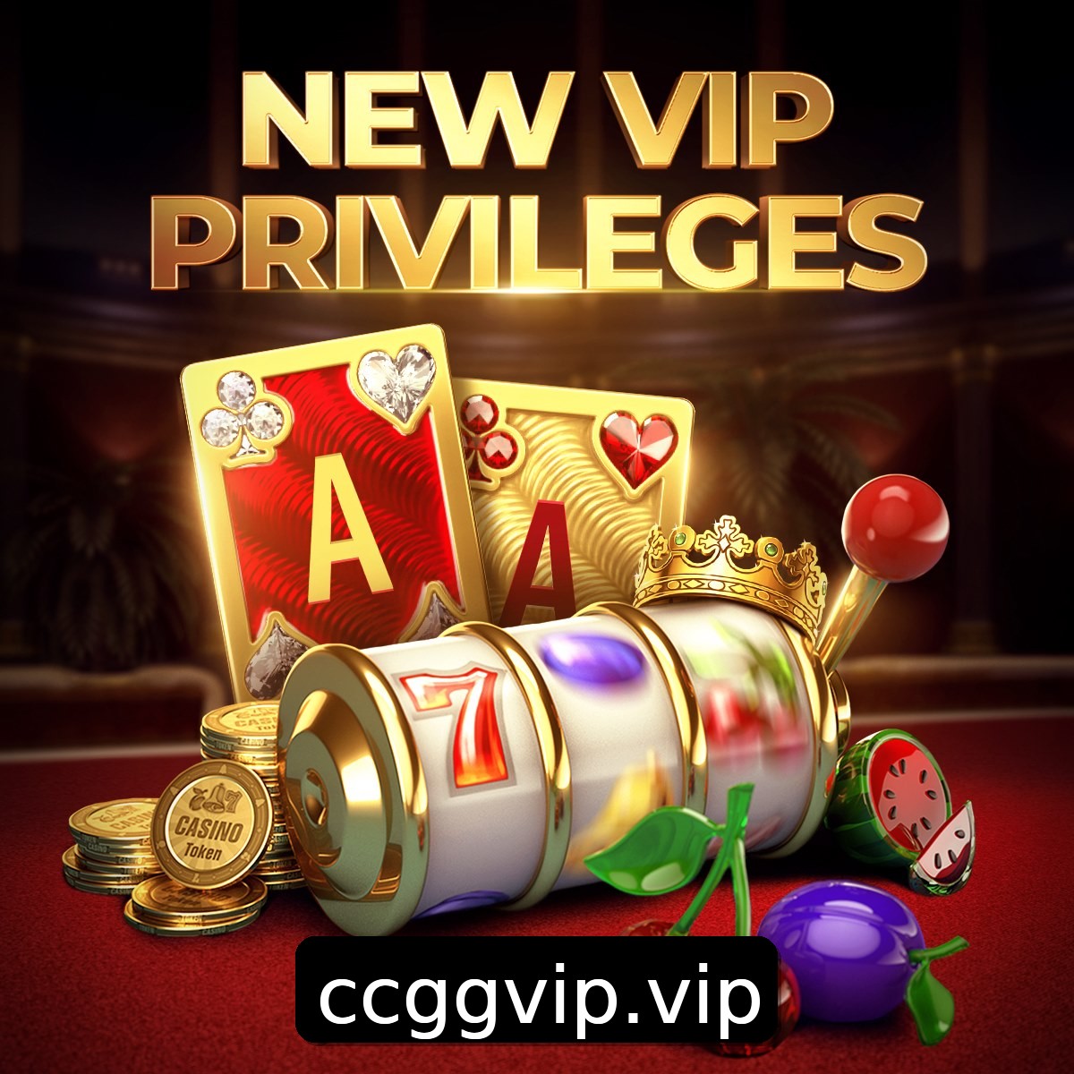 Programa VIP CCGG